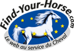 find-your-Horse